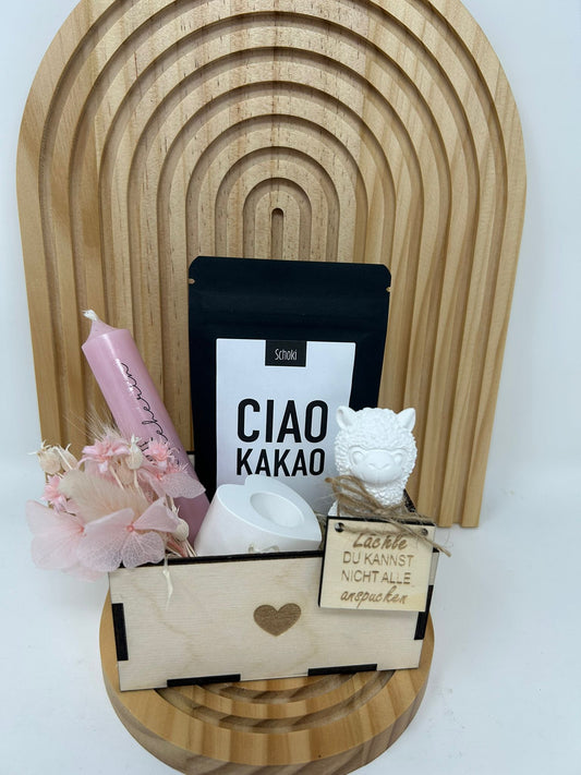 Abschiedsgeschenk Erzieherin Lehrer Lehrerin – Geschenkbox mit Lama, Kerze, Kakao, Trockenblumen – Danke sagen mit Humor